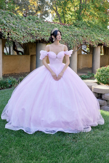 ROVET Embellished Lace Applique Tulle Ball Gown Quinceañera Princess JTJT1487H