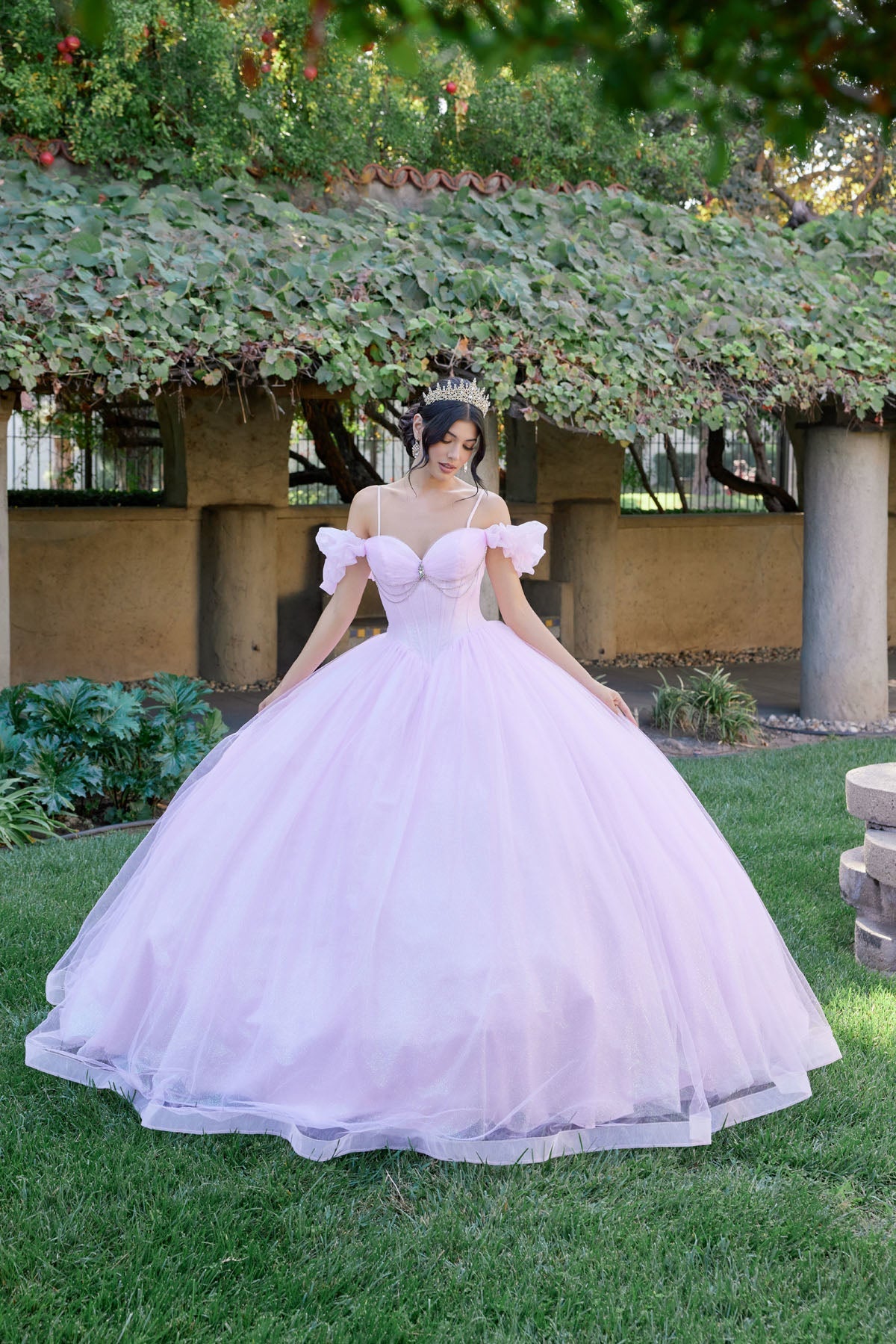 ROVET Embellished Lace Applique Tulle Ball Gown Quinceañera Princess JTJT1487H