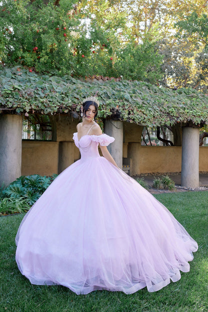ROVET Embellished Lace Applique Tulle Ball Gown Quinceañera Princess JTJT1487H