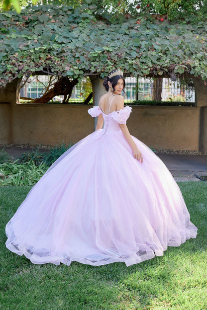 ROVET Embellished Lace Applique Tulle Ball Gown Quinceañera Princess JTJT1487H