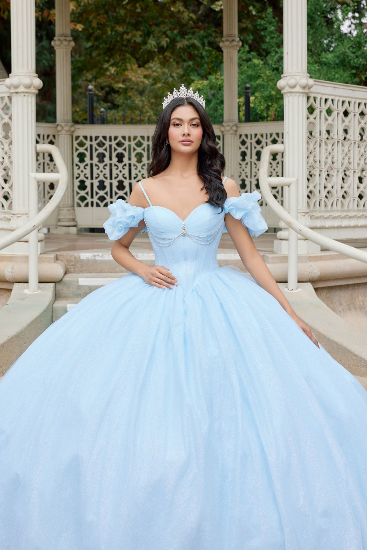 ROVET Embellished Lace Applique Tulle Ball Gown Quinceañera Princess JTJT1487H