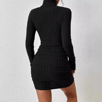 ROVET Turtleneck Slim Fit Knitted Elegant Dress