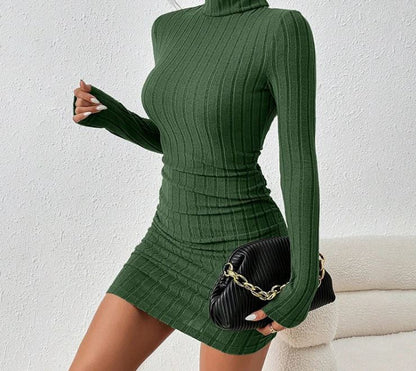 ROVET Turtleneck Slim Fit Knitted Elegant Dress
