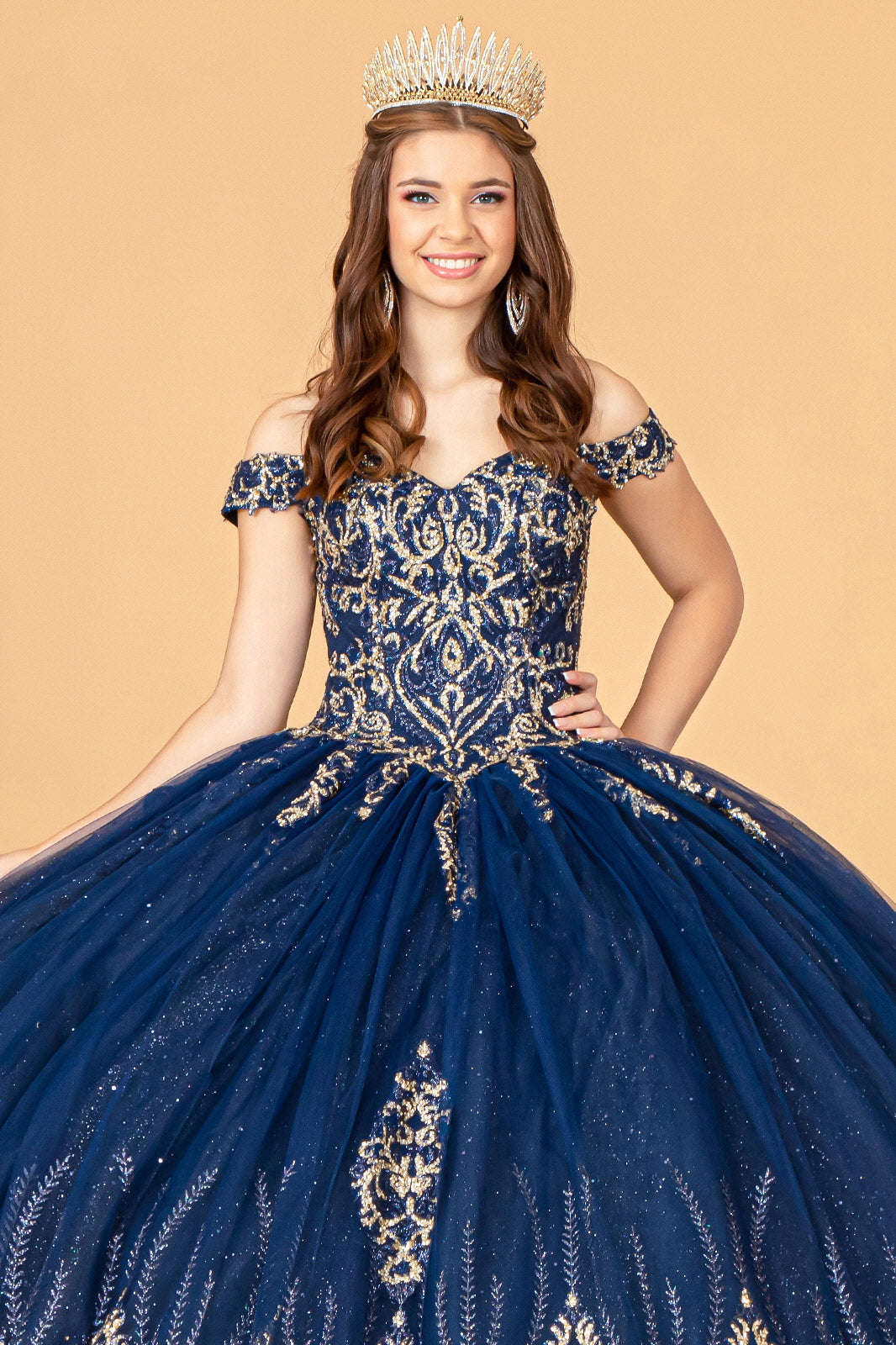 ROVET Glitter Mesh w/ Sequin and Beads Long Quinceanera Dress GLGL3079